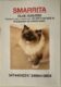 scomparsa di una giovane gatta ragdoll smarrita a busto arsizio