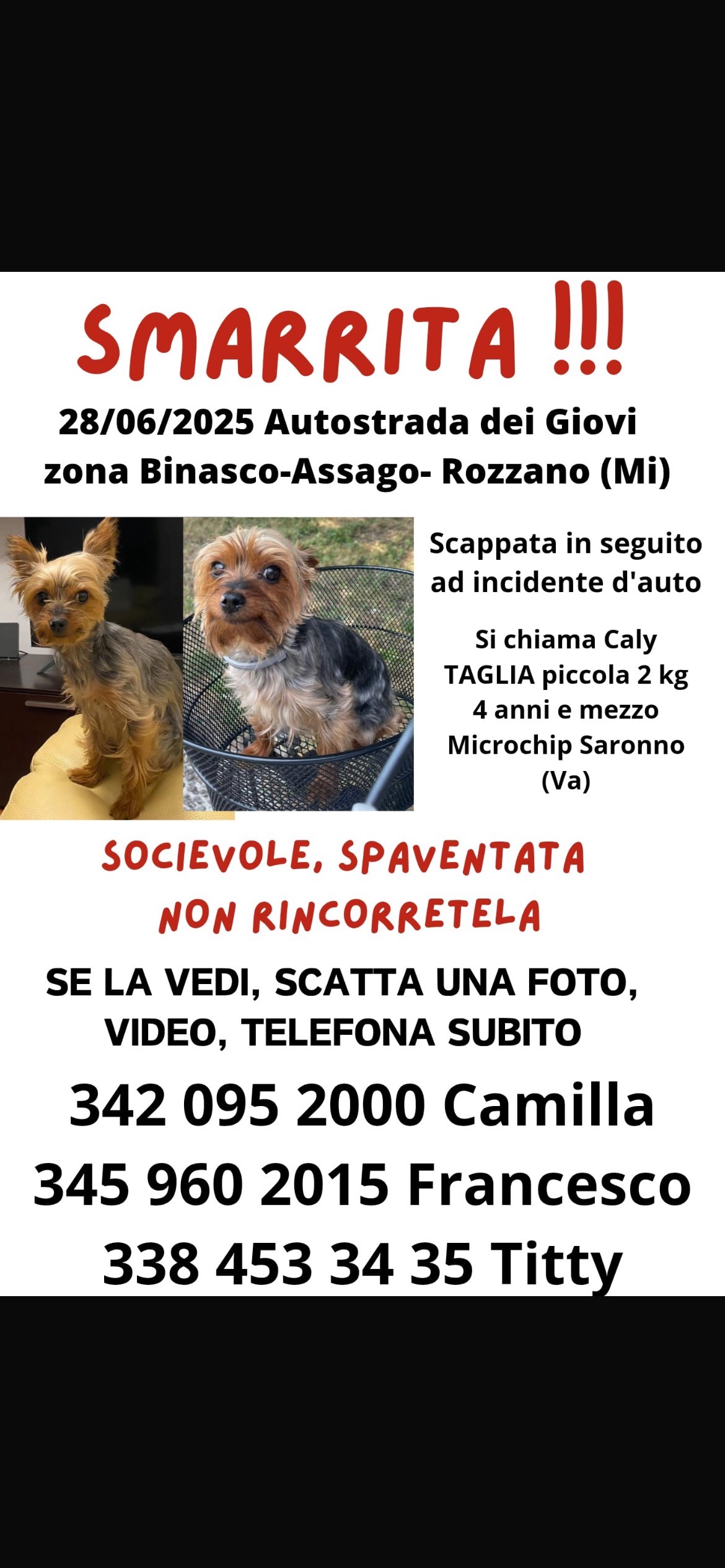 zona autostrada dei Giovi tra binasco e il casello di Milano (tangenziale ovest) il nostro cagnolino