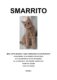Scomparso un gatto maschio