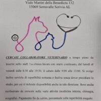 Clinica Veterinaria Serravalle CERCASI COLLABORATORE VETERINARIO a tempo pieno