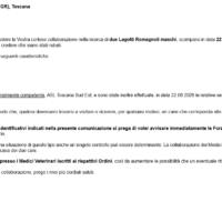 Scomparsi il 22 agosto 2026 – zona Poggetti di Giuncarico, Gavorrano (GR), Toscana