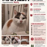 Smarrita Mafalda